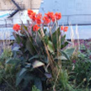 Meet your Posher, Joel